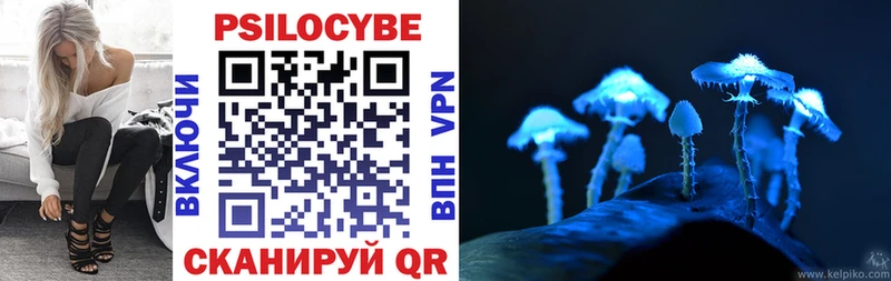 купить наркотики сайты  это Telegram  Галлюциногенные грибы прущие грибы  Шарыпово 